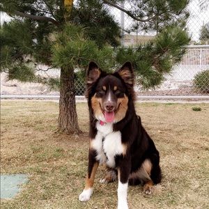 Meet your Posher, Celia